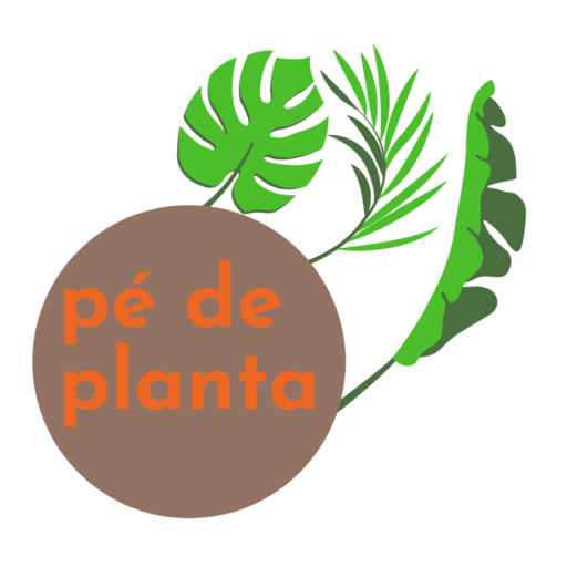 pé de planta